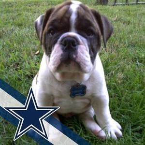 Meet your Posher, Vincent